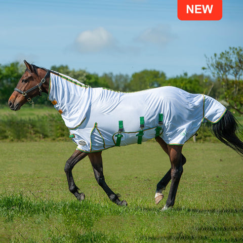 GALLOP Fly Mesh Rug and neck cover Combo