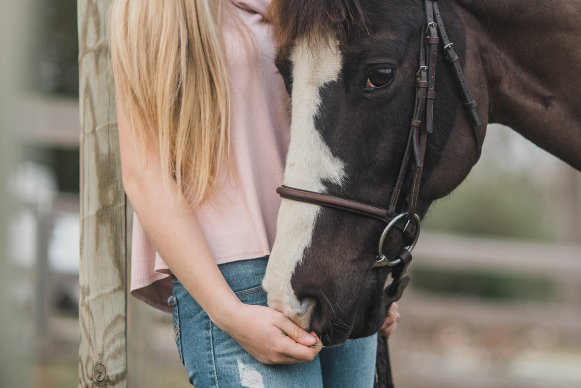 Nosebands and their purpose