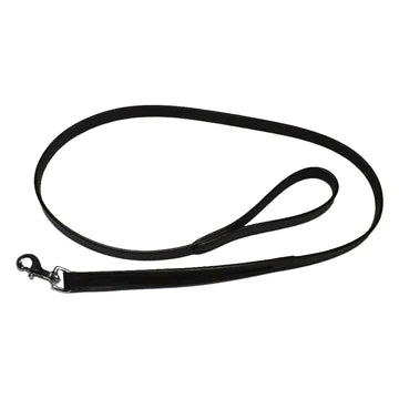 Dog Leads