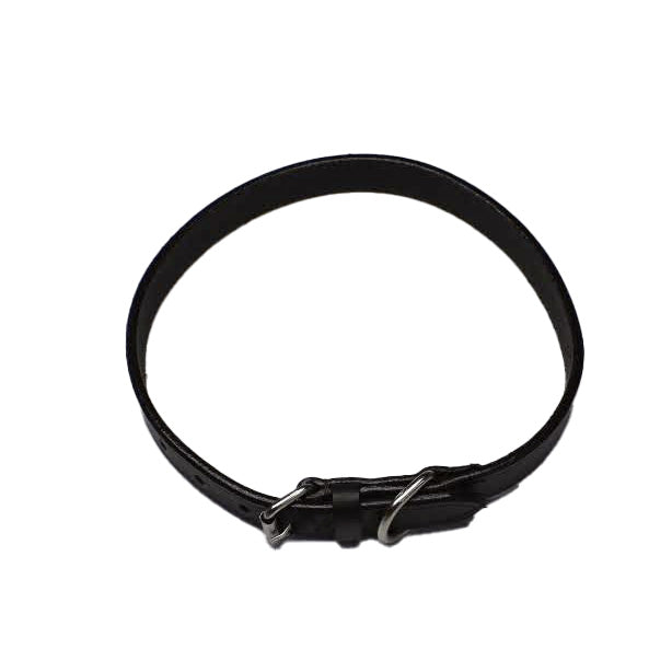 Dog Collars