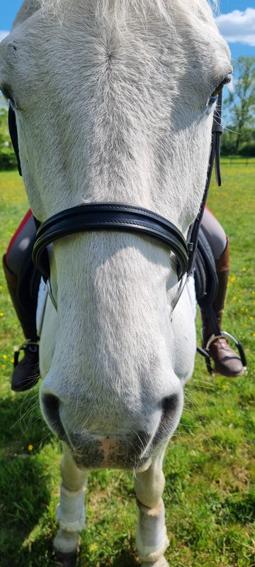 Empty Channel Cavesson Noseband