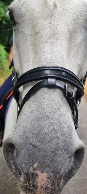 Empty Channel Flash Noseband