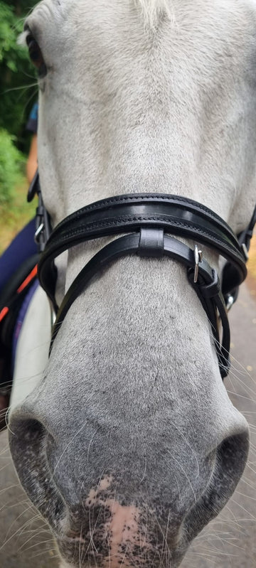 Empty Channel Flash Noseband