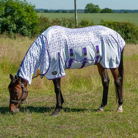 GALLOP Bees and Butterflies Mesh Fly Rug and Neck cover Combo