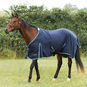 Summer Sheet