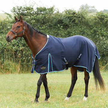 Summer Sheet