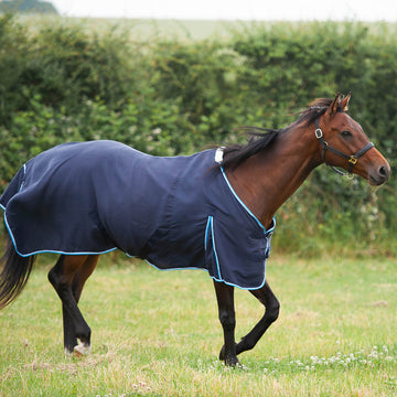 Summer Sheet - 0