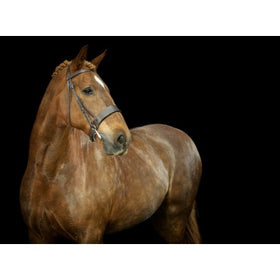 Hunter Bridle - 0