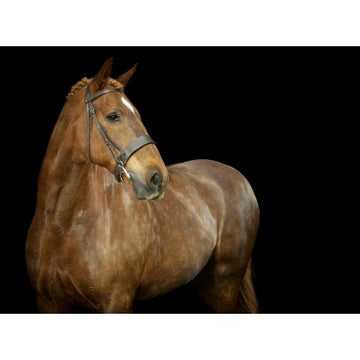 Hunter Bridle - 0
