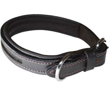 Dog Collars
