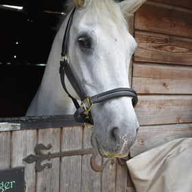 Empty Channel Headcollar - Browbands UK