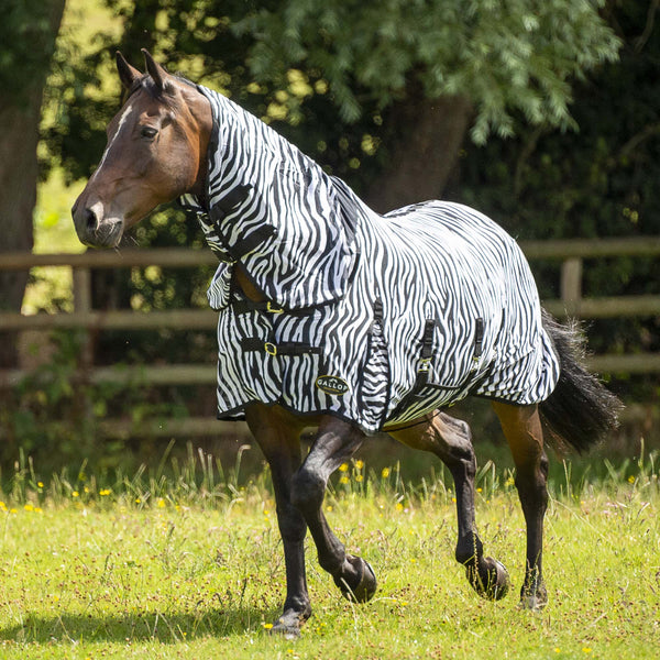 Zebra  Fly Rug and Neck cover Combo - 1